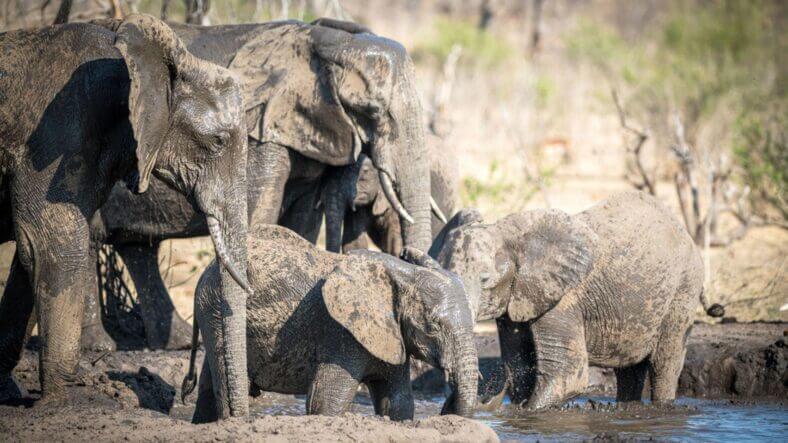 Matetsi Victoria Falls