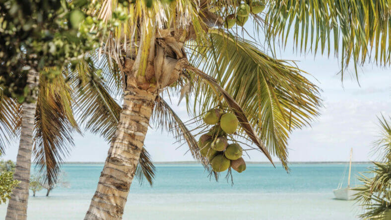 Mozambique, Sussuro