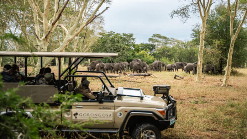 Gorongosa