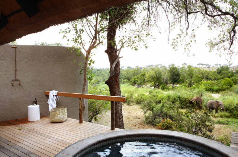 Londolozi Varty Camp Chalet Private Plunge Pool and Outdoor Shower with Elephants