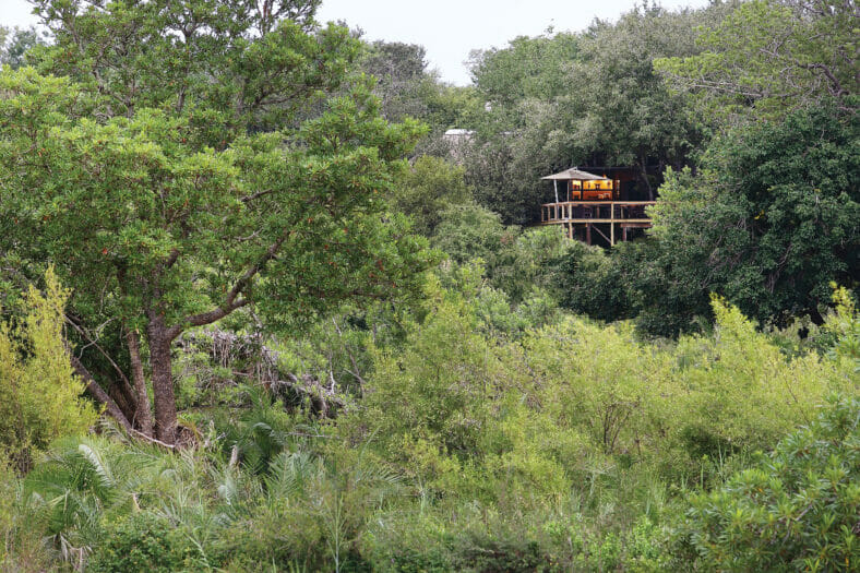 Londolozi Tree Camp View from Sand River