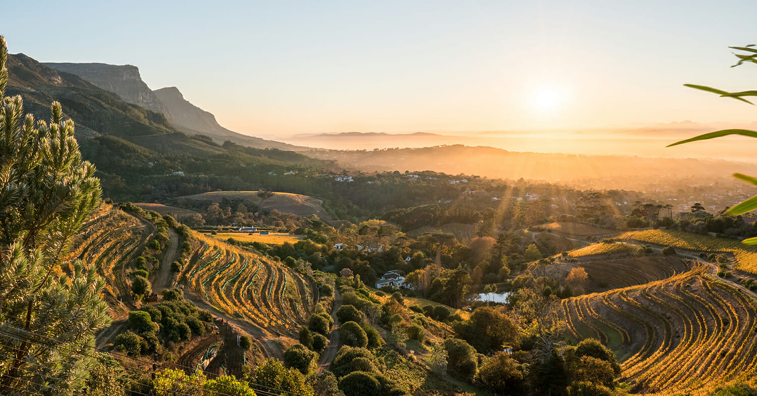 Winelands Cape Town South Africa