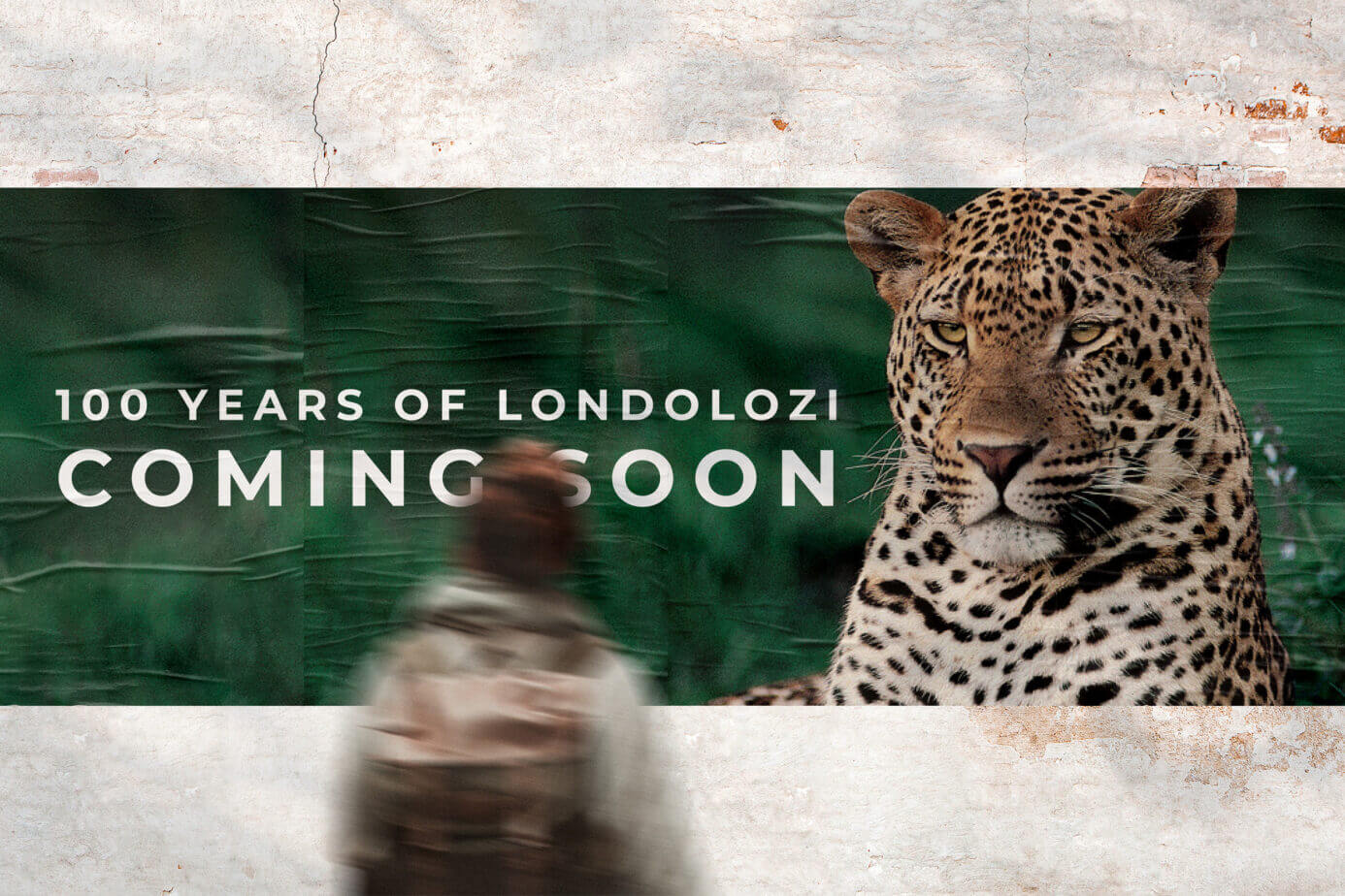 image banner
